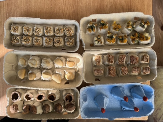 Code Week Junior Kupa  - Öko kódok