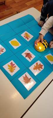 Βρίσκω τα ίδια φθινοπωρινά φύλλα