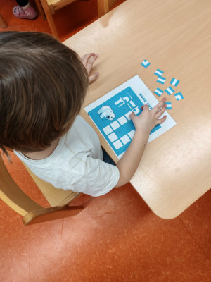 Eltévedt jegesmedve